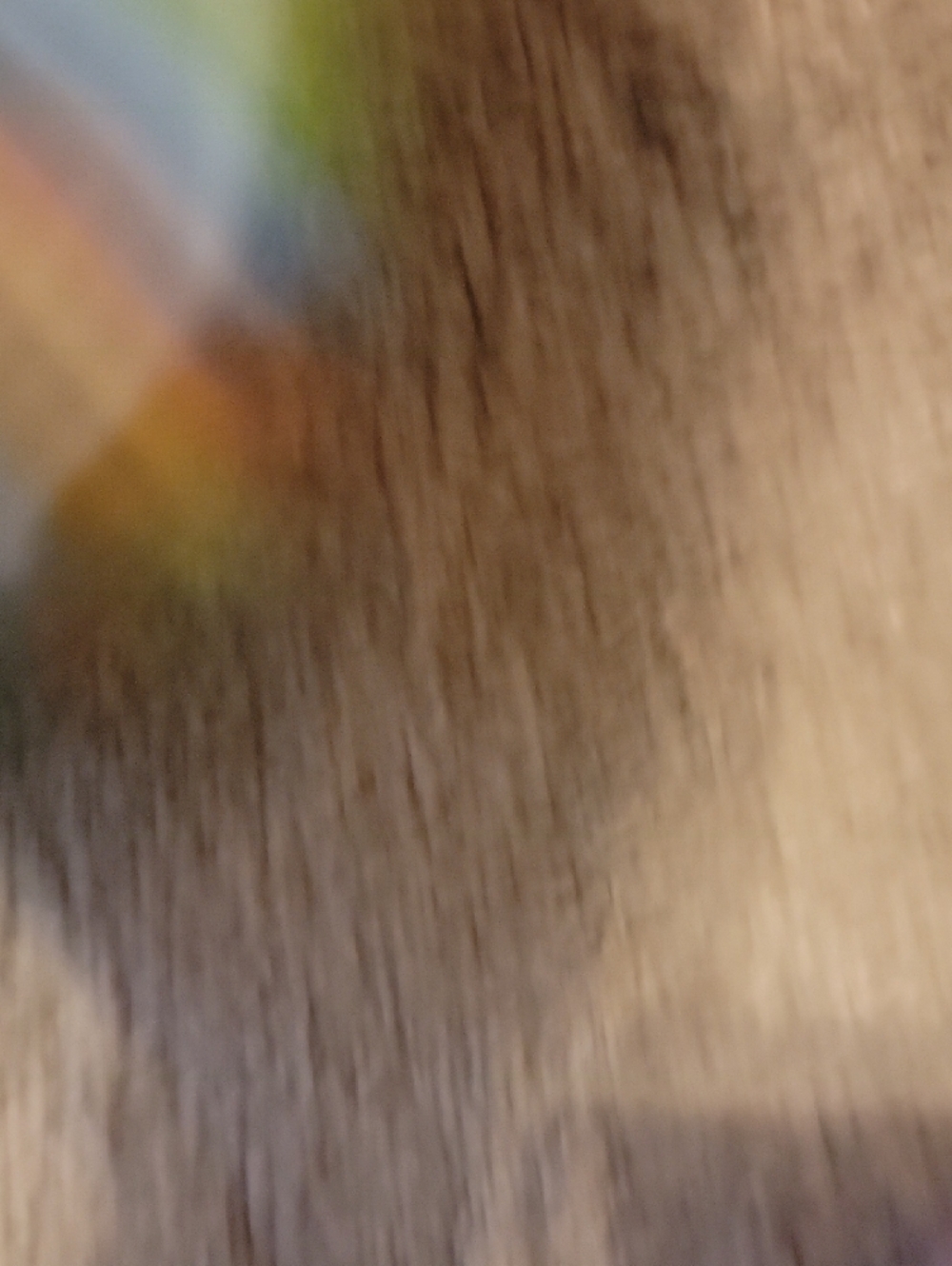 Van's Tie-Dye Low Top Sneakers - Black & Multicolor - Picture 3 of 6